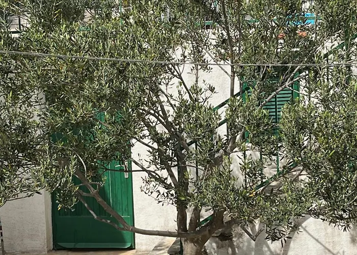 Bayview Haven 아파트 *